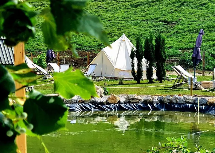 mehrere zelte verbinden TIKONA Type of Vegetable:CUCUMBER SEEDS - National Pickling Die besten 5-Personen-Zelte | fold-out-tents